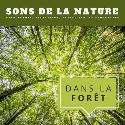 Dans la forêt: Sons de la nature pour dormir, relaxation, travailler, se concentrer - Sons De La Nature, Audio, 4066339259287