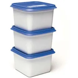 Day To Day Gefrierbox-Set 3x750ml Alaska, Vorratsbehälter, Blau