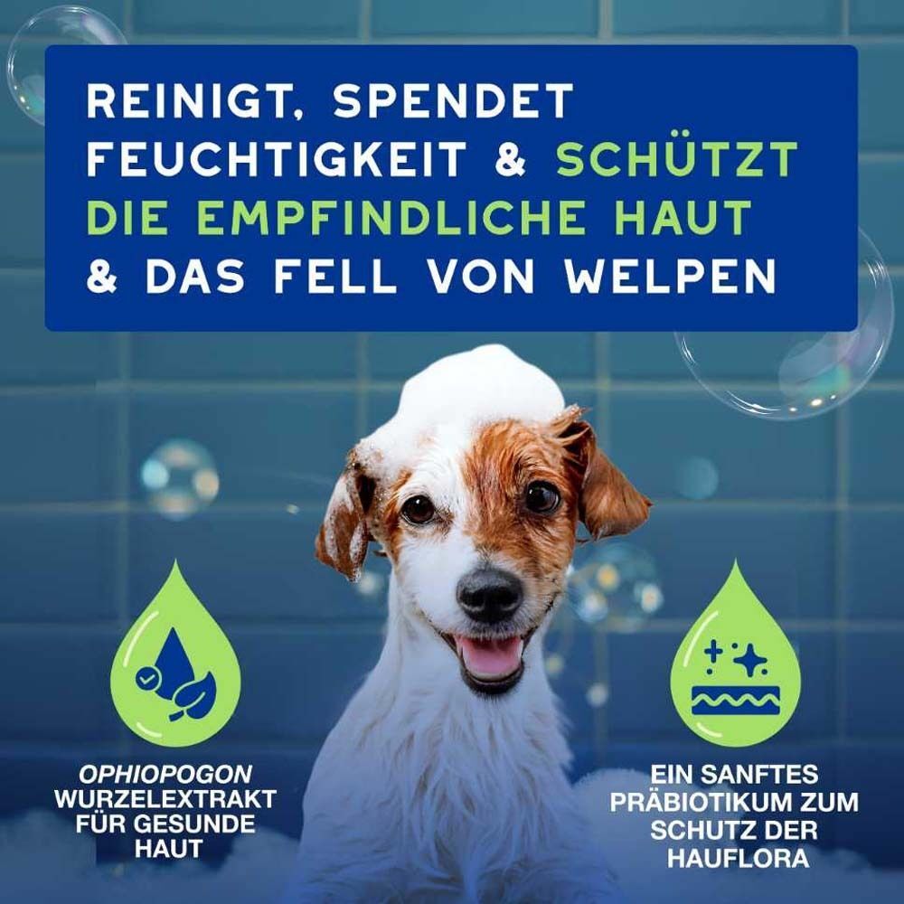 Douxo SPA Welpen-Shampoo 2x 2x250 ml Shampoo