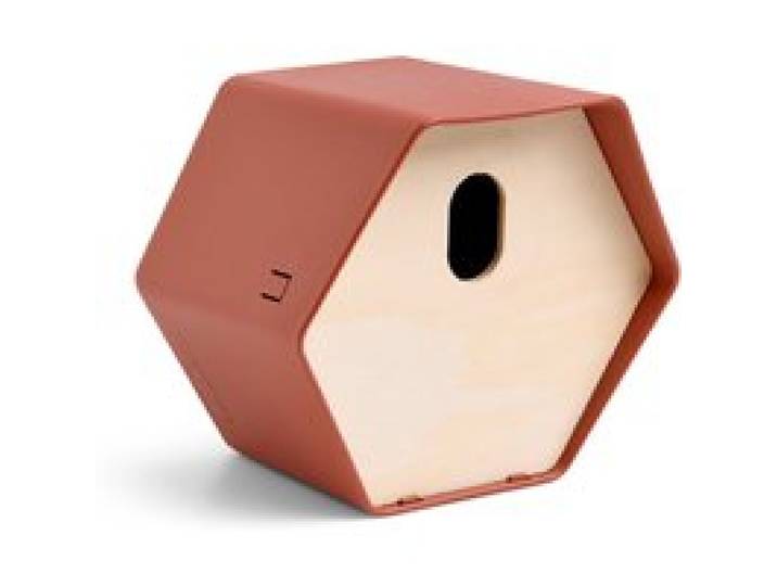 CAPI EUROPE Nichoir « Hive 2 » (marron)