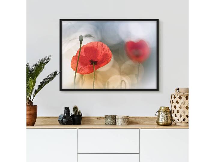 Bild Mohnblumen am Morgen V Papier Rahmen: Echtholz, furniert: Kiefer Rot 100 x 70cm