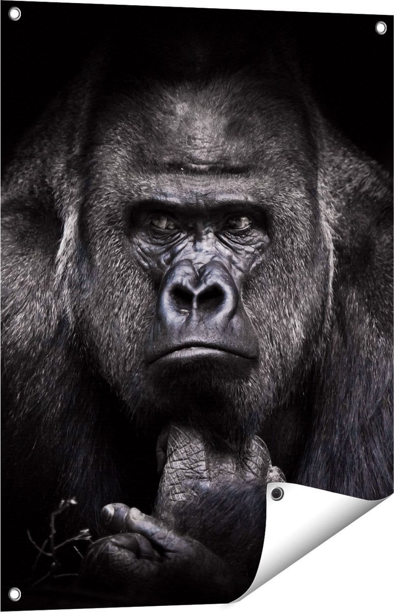 Gards Tuinposter Gorilla - Zwart Wit - 60 x 80 cm - Tuindecoratie en Wanddecoratie voor buiten