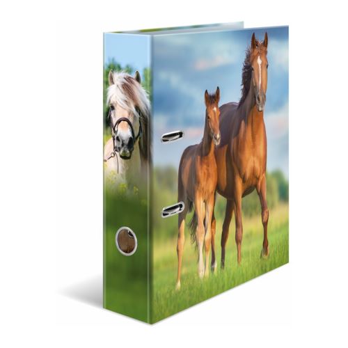 HERMA Ordner A4 Karton Pferd
