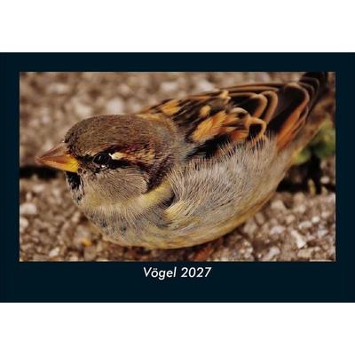 Vögel 2027 Fotokalender DIN A5