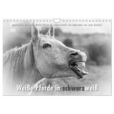 Emotionale Momente: Weiße Pferde in schwarzweiß. (Wandkalender 2026 DIN A4 quer), CALVENDO Monatskalender