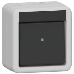Gira Wippschalter Aus 310230