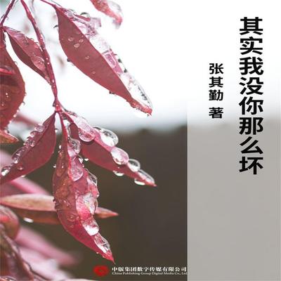 其实我没你那么坏 - 张其勤, Audio, 4071498255773