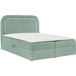 BOXBETT Bonito - H3