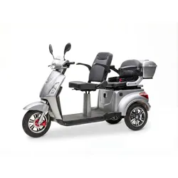 Econelo E-Seniorenmobil Billy 2.0, Blei-Akku, 3-Rad, 1000 Watt, Grau