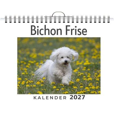 Bichon Frise