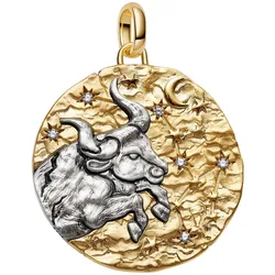 Pandora 764998C01 Medaillon-Charm Anhänger XL Sternzeichen Stier