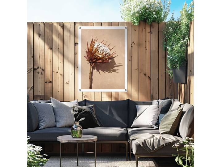 Outdoor-Poster Schattenblume Polyester Braun 60 x 80 x 0cm