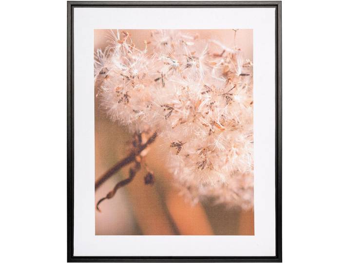 Bild mit Rahmen CREATIV HOME Leinwandbild Pusteblume , bunt (farbe rahmen: schwarz, farbe bild(er): bunt), B:40cm H:50cm T:2,5cm, Canvas, Kunststoff, Bilder, Bild mit Rahmen, mit Rahmen