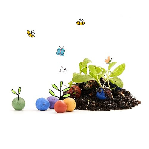 Die Stadtgärtner 100 kleurrijke bloemkralen en zaadbommen voor het knutselen en tuinieren