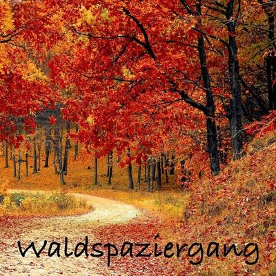 Waldspaziergang: Naturgeräusche und Meditationen (ohne Musik) zur Entspannung von Körper und Geist - Patrick Lynen, Audio, 4057664530707