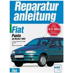 Fiat Punto ab Herbst 1993, Ratgeber
