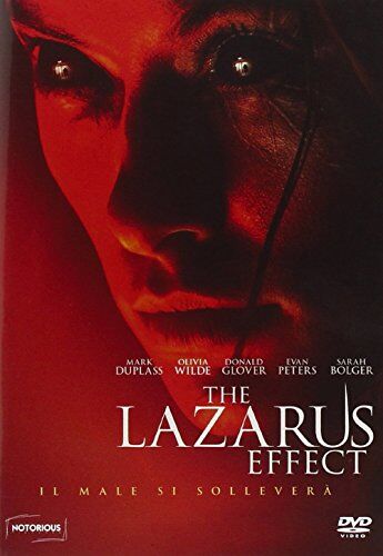 David Gelb - The Lazarus Effect [IT Import] - Preis vom 10.10.2026 11:48:34 h