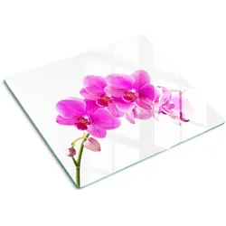 GLASPLATTE 60x52 cm Rosa Orchidee