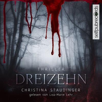 Dreizehn - Christina Staudinger, Audio, 4061707988455