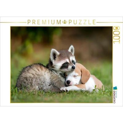 CALVENDO Puzzle Waschbär und Welpe - Freundschaft kennt keine Grenzen | 1000 Teile Lege-Größe 64x48cm Foto-Puzzle für glückliche Stunden, von ,
