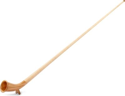 Alfons Neumann Alphorn Meisterklasse