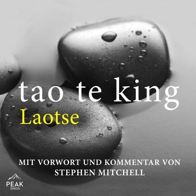Tao Te King - Stephen Mitchell,Lao Tse, Audio, 9781628611502