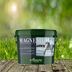 St. Hippolyt Magnesium B12 - 2,5 kg - Nährstoffe für Nerven- und Muskelzellen