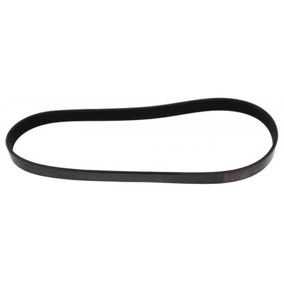 MAPCO Keilrippenriemen 260875 für RENAULT