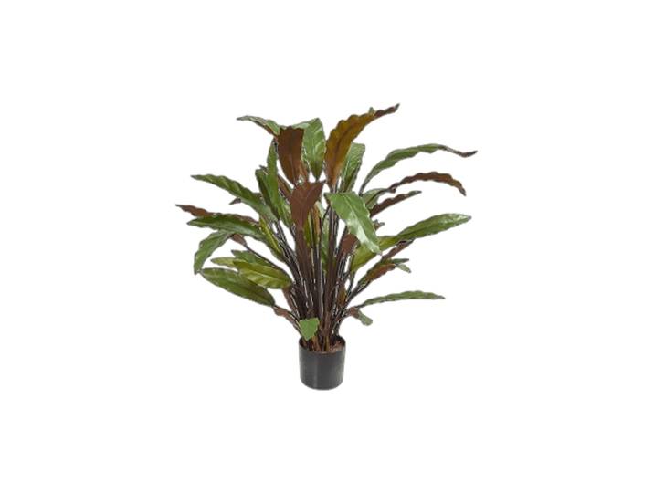 Lebensechte Kunstpflanze „Calathea Rufibarba Blue Grass“, Ø 40 x 60 cm Grün Baq Design