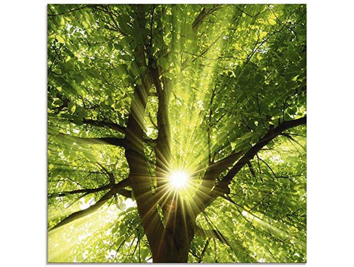 ARTLAND Wanddeko Glasbilder Wandbild Glas Bild einteilig 50x50 cm Quadratisch Wald Natur Botanik Bäume Laubbaum Sonne Baum Sommer T5GQ