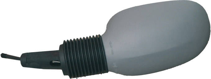 PRASCO FD0067124 Wing mirror