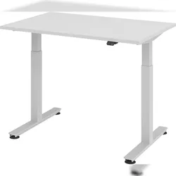 bümö elektrisch höhenverstellbarer Schreibtisch grau 120x80 cm - Schreibtisch höhenverstellbar elektrisch, elektrischer Schreibtisch & Gaming Tisch,