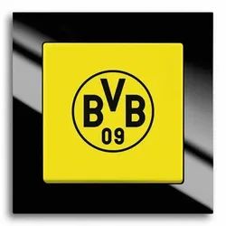 Busch-Jaeger Fanschalter Borussia Dortmund, Aus- und Wechselschaltung