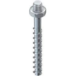 Niedax Schraubanker NSA 6X55/SW10-M6 V