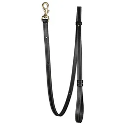 Dy'on Verstellbare Hundeleine (Hund), Halsband + Leine