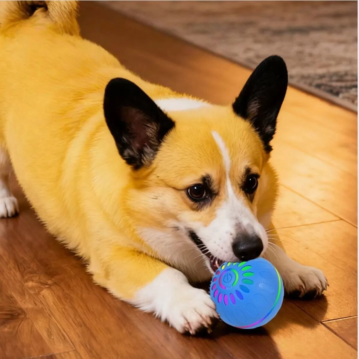 INF Balle LED Interactive pour Animaux - Auto-Mobile & Rechargeable pour Chiens et Chats Bleu