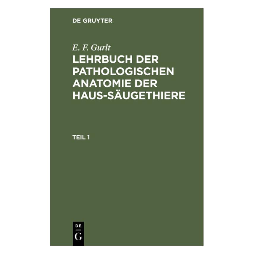 De Gruyter Gurlt:E. F. Gurlt: Lehrbuch der patholo (Deutsch, Hardcover, Ernst Friedrich Gurlt) (67774168)
