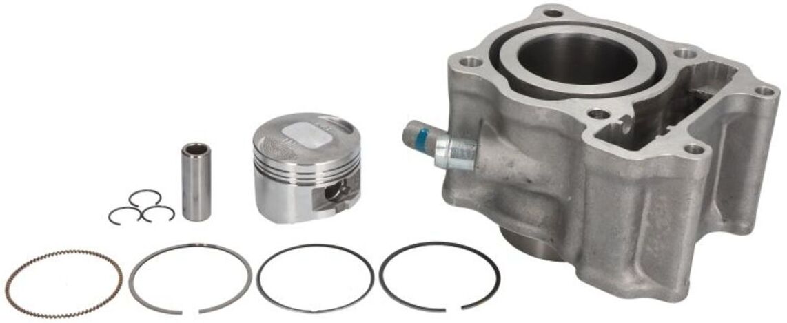 Zylindersatz RMS 10 008 0720