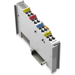 Wago 750-677 4 Pulsweitenausgänge,DC 24 V,0,2 A,lichtgrau 750677