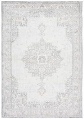 SAFAVIEH Brentwood Tapati Traditional Rug