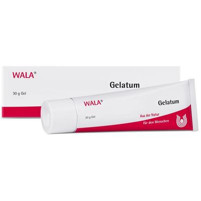 Echinacea/Viscum comp.Gelatum 30 g Gel