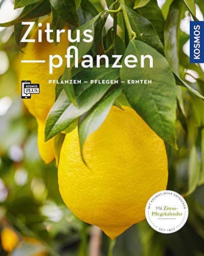 Dominik Große Holtforth - Zitruspflanzen: gestalten - pflanzen - ernten (Mein Garten) - Preis vom 30.09.2026 22:30:23 h