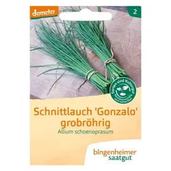 Bingenheimer Saatgut Schnittlauch Gonzalo grobröhrig demeter