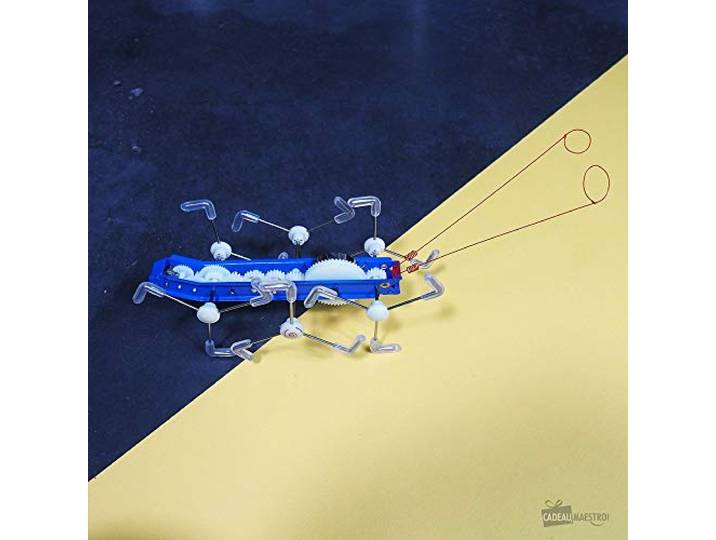 Kikkerland MxyKikker Robot
