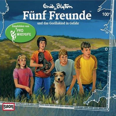 Folge 100: Fünf Freunde und das Gorillakind in Gefahr - Katrin McClean, Audio, 4064066621155