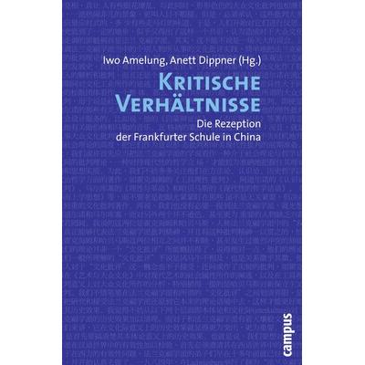 Kritische Verhältnisse, Taschenbuch von Iwo Amelung,Anett Dippner, Campus, 978-3-593-39009-3
