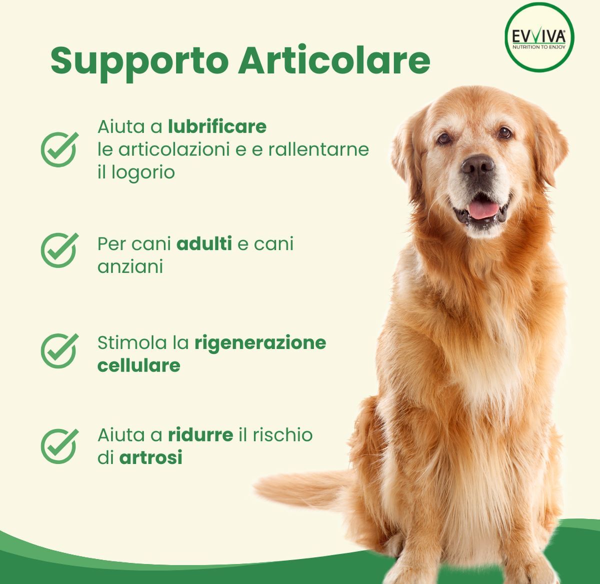 Evviva Pet Nutrition to Enjoy Restore Breeder 250G
