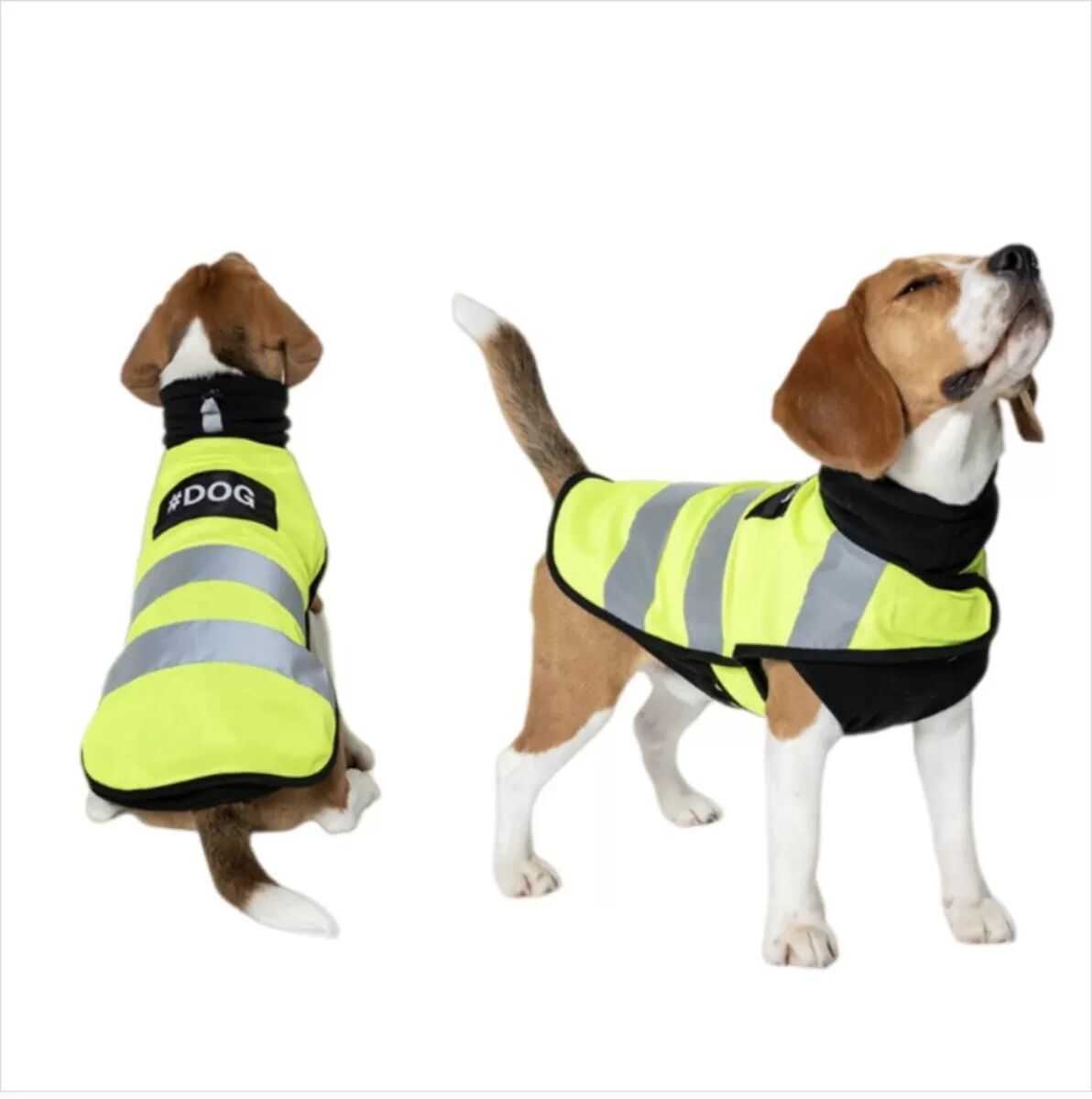 INF Reflektierende Sicherheitsweste für Haustiere - hochsichtbare Polyester Hund & Katze Weste, Anti-Loss, Ganzjahres XL Gelb