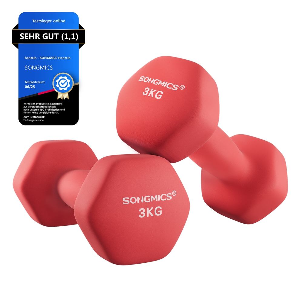 SONGMICS Hanteln 2er Set rot SYL66RD