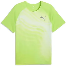 PUMA Lightspeed Graphic kurzarm Laufshirt Herren 55 - sunny lime S
